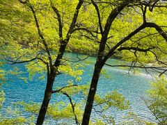 -九寨沟-树正沟