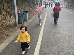 -都江堰中华大熊猫苑