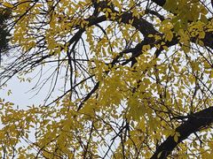 -紫竹院公园-东门停车场