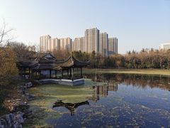 -高子水居
