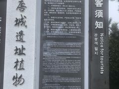 -洛阳市隋唐城遗址植物园