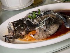 清蒸龙趸班-衡山汇·高级粤菜(霄云路店)