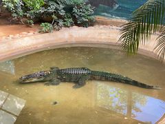 -西霞口神雕山野生动物世界