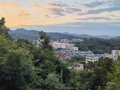 -梧桐山风景名胜区