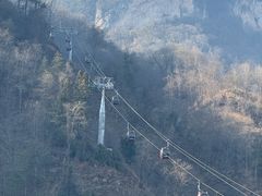 -黎老幺光雾山黄羊汤锅