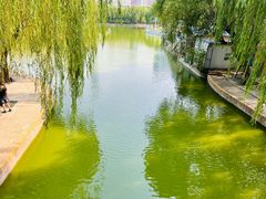 -团结湖公园