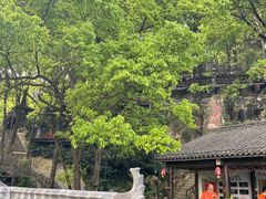 -巴倒烫陆派重庆火锅(南山店)