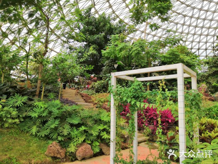 大陽山國家森林公園植物園景區圖片