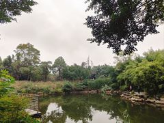 -大渡口区义渡公园
