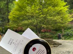 -茶颜悦色(岳麓山顶店)