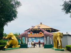 -吴桥杂技大世界
