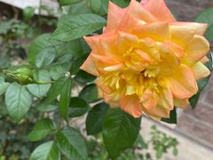 -小城外婆肴私房菜.家宴聚集点(圆明园颐和园·清河上地店)