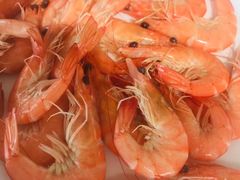 -七鲜渔港美食餐厅(巽寮湾海景店)