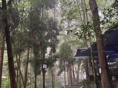 -都江堰普照寺