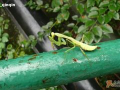 -石门涧