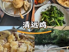 -芭厘农庄老字号·清远鸡