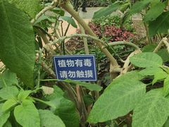 -石家庄市植物园