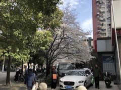 -玛格萝妮比萨屋(四平店)