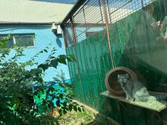-青藏高原野生动物园