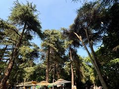 -ZOO COFFEE动物园咖啡(红山森林动物园店)