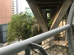 -香港大学