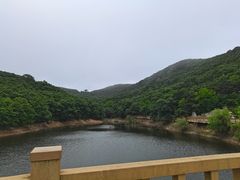 -童牛岭风景区