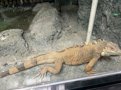 -武汉动物园