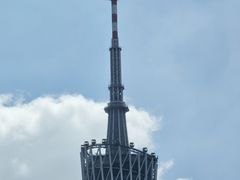 -莫尔顿扒房 MORTON'S GRILLE(igc天汇广场店)