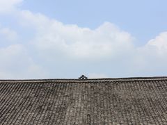 -峨眉山报国寺