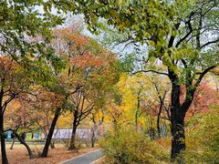 -国家植物园南园