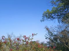 -福建鲤鱼洲酒店