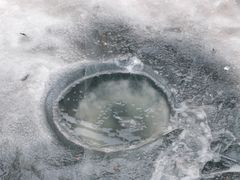 -五家山森林公园滑雪场