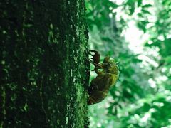 -藏龙百瀑风景区