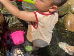 -成都市活水公园