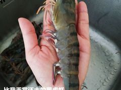 -盒马鲜生(岭南新世界店)