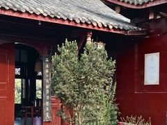 -黄龙溪古镇