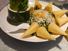 -大树头森林餐厅(番禺广场店)