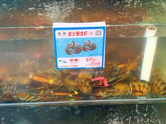 -琼大师东方烤乳猪(亚特兰蒂斯店)