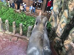 -长鹿旅游休博园