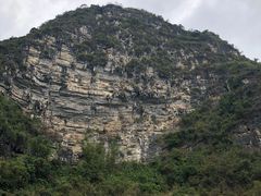 -明仕田园