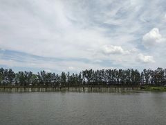 -白渔泡湿地公园