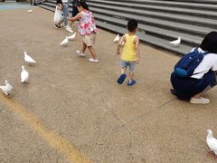 -烟台海昌鲸鲨海洋公园