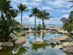 -精酿农场Brew Farm·沙漠绿洲餐厅