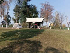 -白鹭湾湿地公园