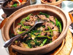 大鸽饭（小煲）-大鸽饭(岗顶店)