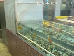 -令狐冲烤鱼·烧菜馆(达明店)