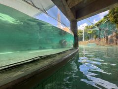 -新加坡水上探险乐园