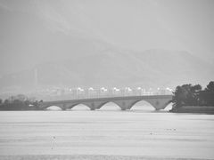 -四明湖