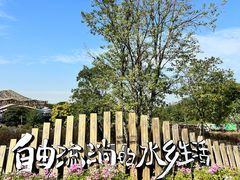 -江门古劳水乡旅游区