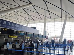托运行李柜台办理-南宁吴圩国际机场-T2航站楼